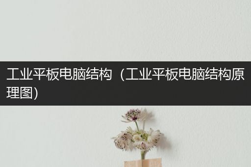 工业平板电脑结构（工业平板电脑结构原理图）