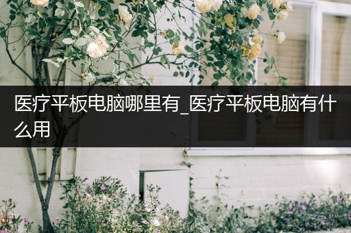 医疗平板电脑哪里有_医疗平板电脑有什么用