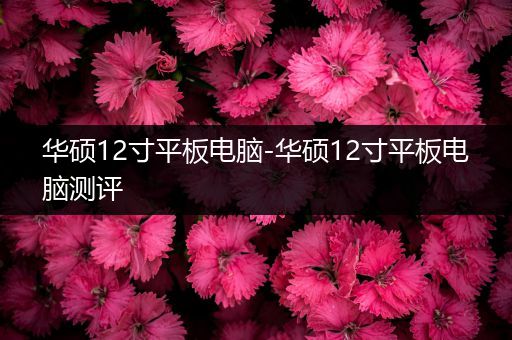 华硕12寸平板电脑-华硕12寸平板电脑测评