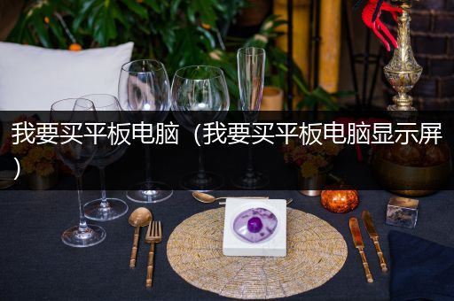 我要买平板电脑（我要买平板电脑显示屏）
