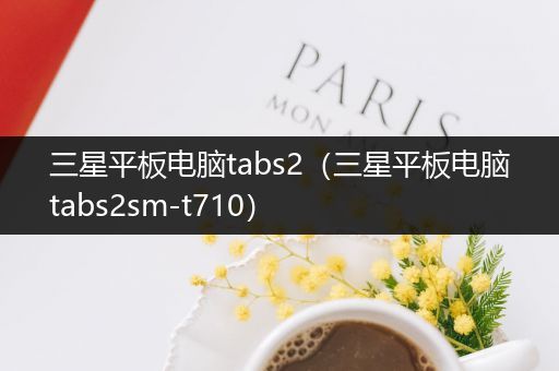 三星平板电脑tabs2（三星平板电脑tabs2sm-t710）