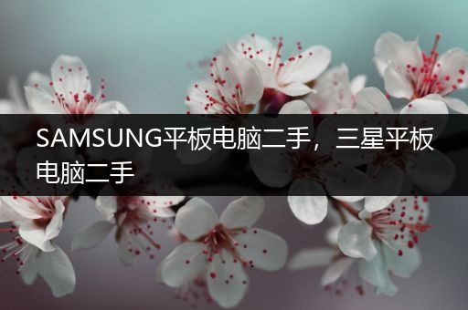 SAMSUNG平板电脑二手，三星平板电脑二手