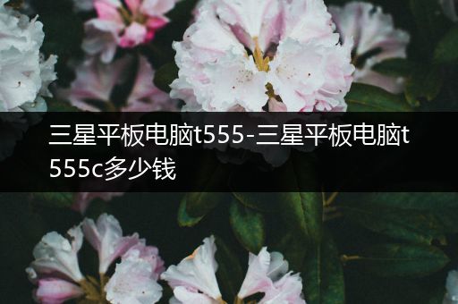 三星平板电脑t555-三星平板电脑t555c多少钱