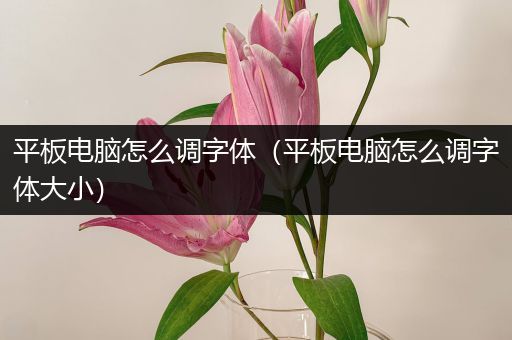 平板电脑怎么调字体（平板电脑怎么调字体大小）