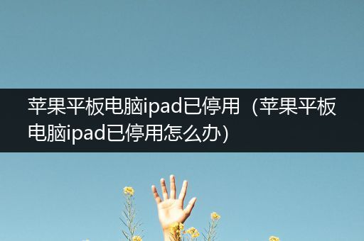 苹果平板电脑ipad已停用（苹果平板电脑ipad已停用怎么办）