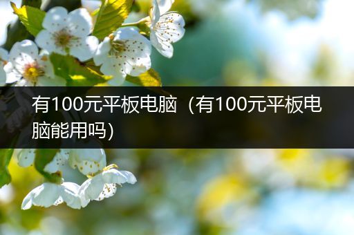 有100元平板电脑（有100元平板电脑能用吗）