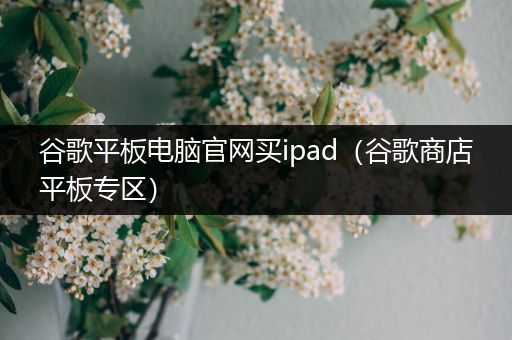 谷歌平板电脑官网买ipad（谷歌商店平板专区）