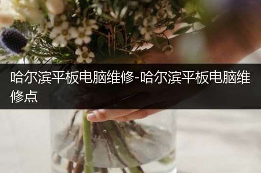 哈尔滨平板电脑维修-哈尔滨平板电脑维修点