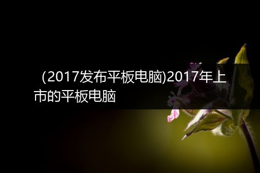 （2017发布平板电脑)2017年上市的平板电脑