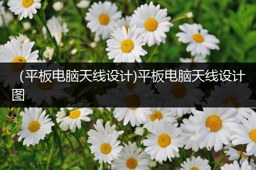 （平板电脑天线设计)平板电脑天线设计图