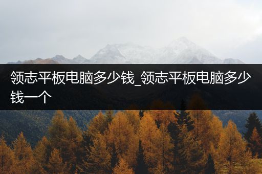 领志平板电脑多少钱_领志平板电脑多少钱一个