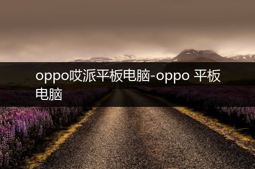 oppo哎派平板电脑-oppo 平板电脑