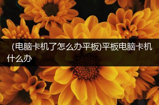 （电脑卡机了怎么办平板)平板电脑卡机什么办