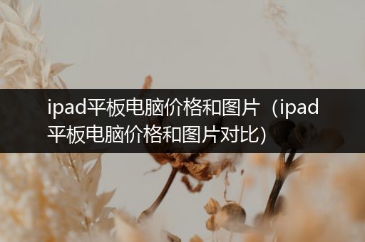 ipad平板电脑价格和图片（ipad平板电脑价格和图片对比）