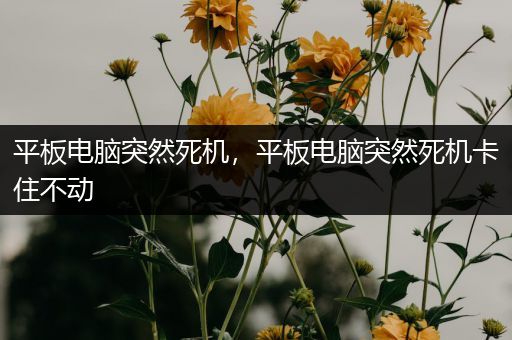 平板电脑突然死机，平板电脑突然死机卡住不动