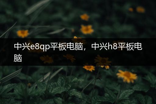 中兴e8qp平板电脑，中兴h8平板电脑