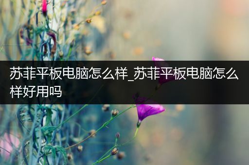 苏菲平板电脑怎么样_苏菲平板电脑怎么样好用吗