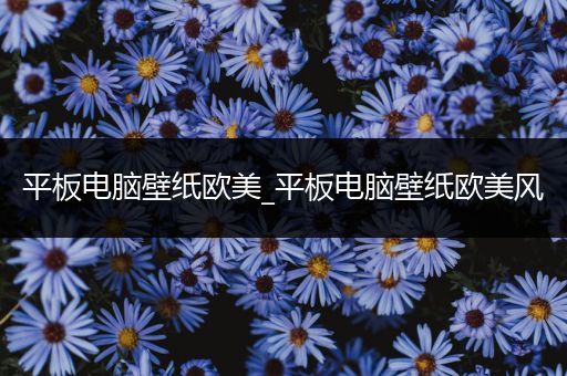 平板电脑壁纸欧美_平板电脑壁纸欧美风