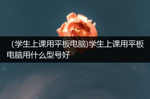 （学生上课用平板电脑)学生上课用平板电脑用什么型号好