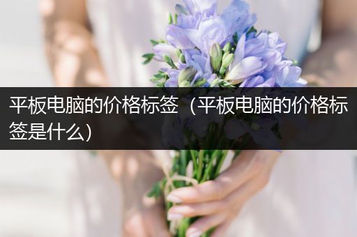 平板电脑的价格标签（平板电脑的价格标签是什么）