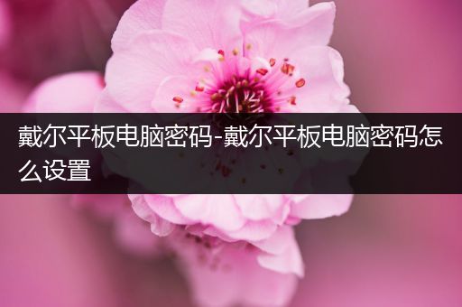 戴尔平板电脑密码-戴尔平板电脑密码怎么设置