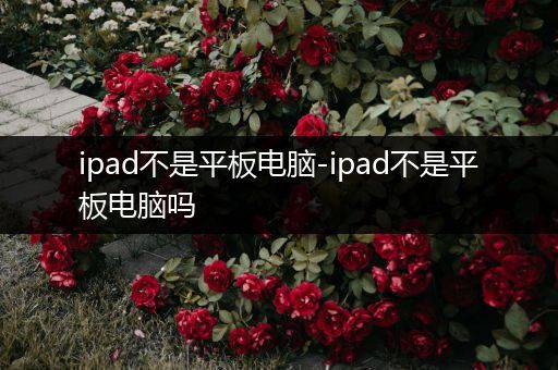 ipad不是平板电脑-ipad不是平板电脑吗