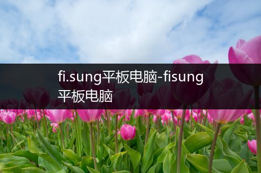 fi.sung平板电脑-fisung平板电脑