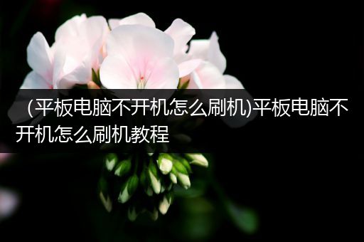 （平板电脑不开机怎么刷机)平板电脑不开机怎么刷机教程