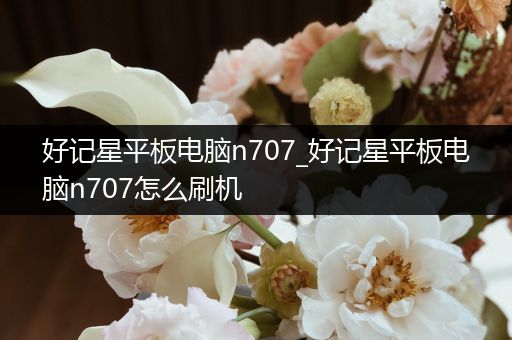 好记星平板电脑n707_好记星平板电脑n707怎么刷机