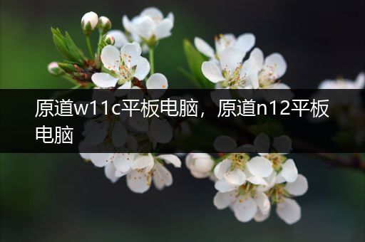 原道w11c平板电脑，原道n12平板电脑