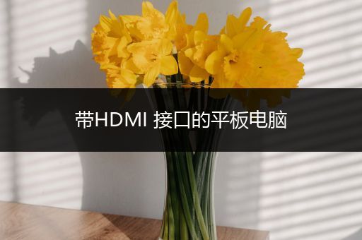 带HDMI 接口的平板电脑