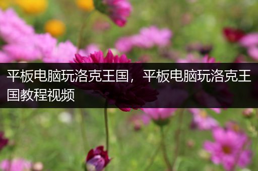 平板电脑玩洛克王国，平板电脑玩洛克王国教程视频