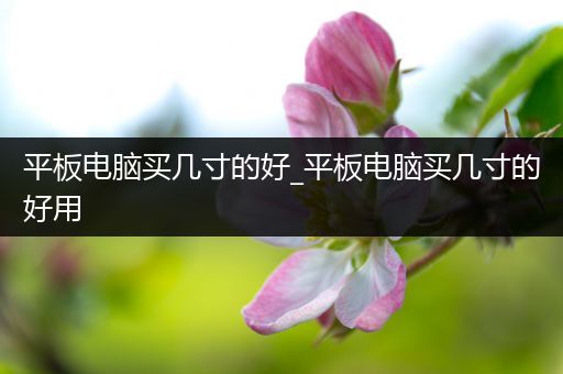 平板电脑买几寸的好_平板电脑买几寸的好用