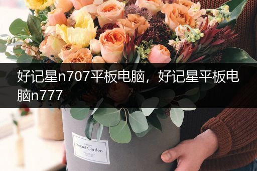 好记星n707平板电脑，好记星平板电脑n777