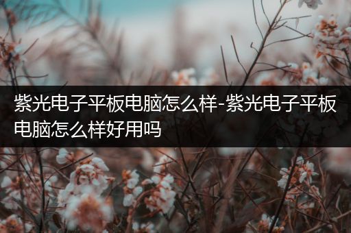 紫光电子平板电脑怎么样-紫光电子平板电脑怎么样好用吗