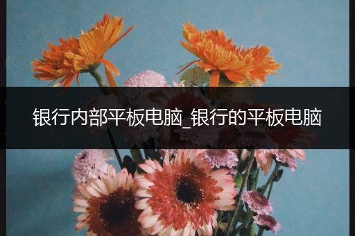 银行内部平板电脑_银行的平板电脑