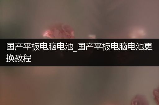 国产平板电脑电池_国产平板电脑电池更换教程