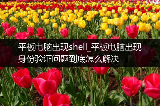 平板电脑出现shell_平板电脑出现身份验证问题到底怎么解决