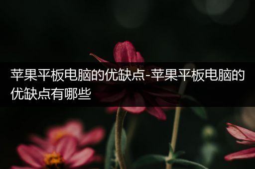 苹果平板电脑的优缺点-苹果平板电脑的优缺点有哪些