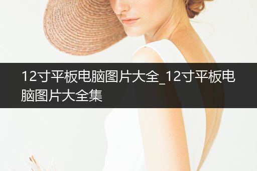 12寸平板电脑图片大全_12寸平板电脑图片大全集