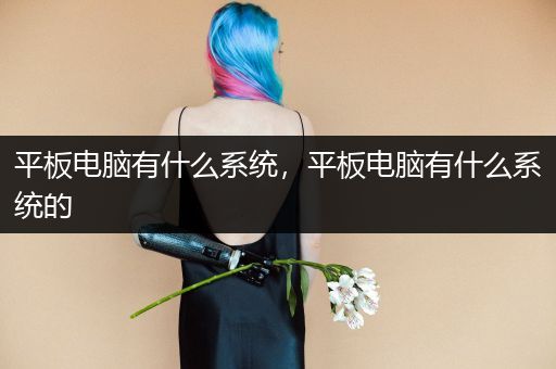 平板电脑有什么系统，平板电脑有什么系统的