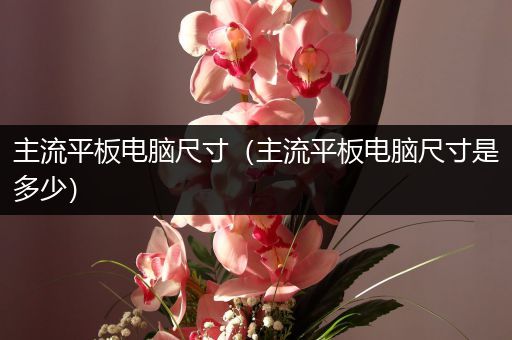 主流平板电脑尺寸（主流平板电脑尺寸是多少）