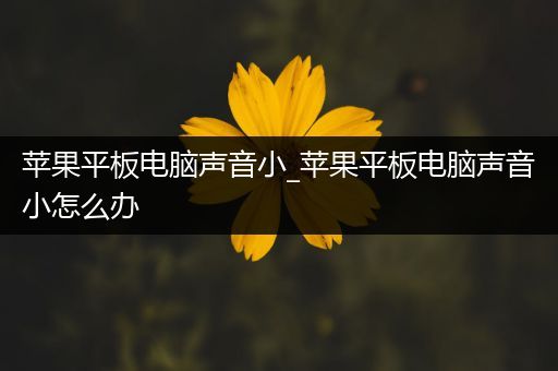 苹果平板电脑声音小_苹果平板电脑声音小怎么办