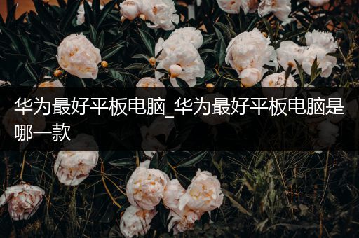 华为最好平板电脑_华为最好平板电脑是哪一款