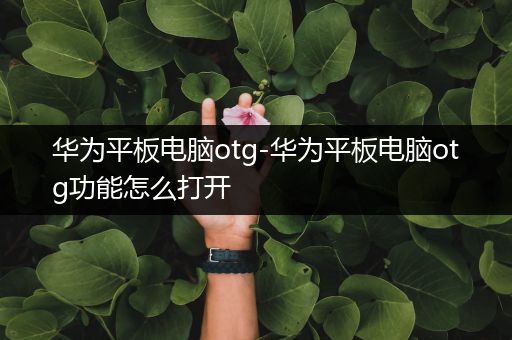 华为平板电脑otg-华为平板电脑otg功能怎么打开