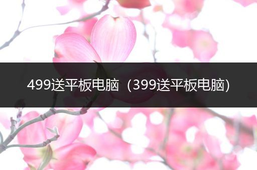 499送平板电脑（399送平板电脑）