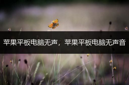 苹果平板电脑无声，苹果平板电脑无声音