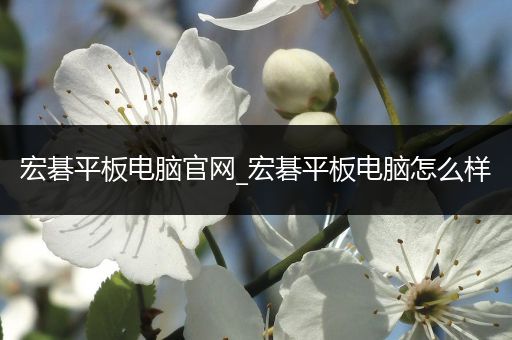 宏碁平板电脑官网_宏碁平板电脑怎么样