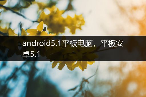 android5.1平板电脑，平板安卓5.1