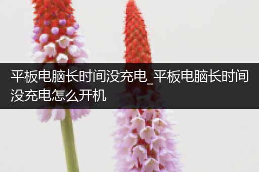 平板电脑长时间没充电_平板电脑长时间没充电怎么开机